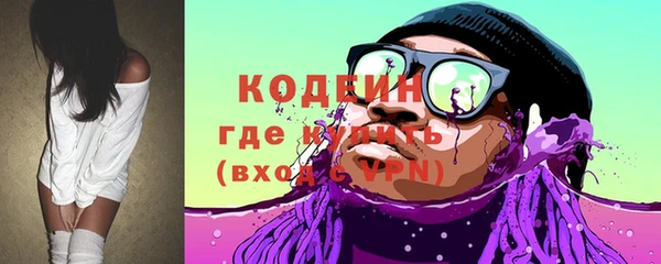 индика Арсеньев