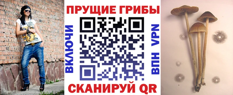 Галлюциногенные грибы Magic Shrooms  как найти наркотики  Спасск 
